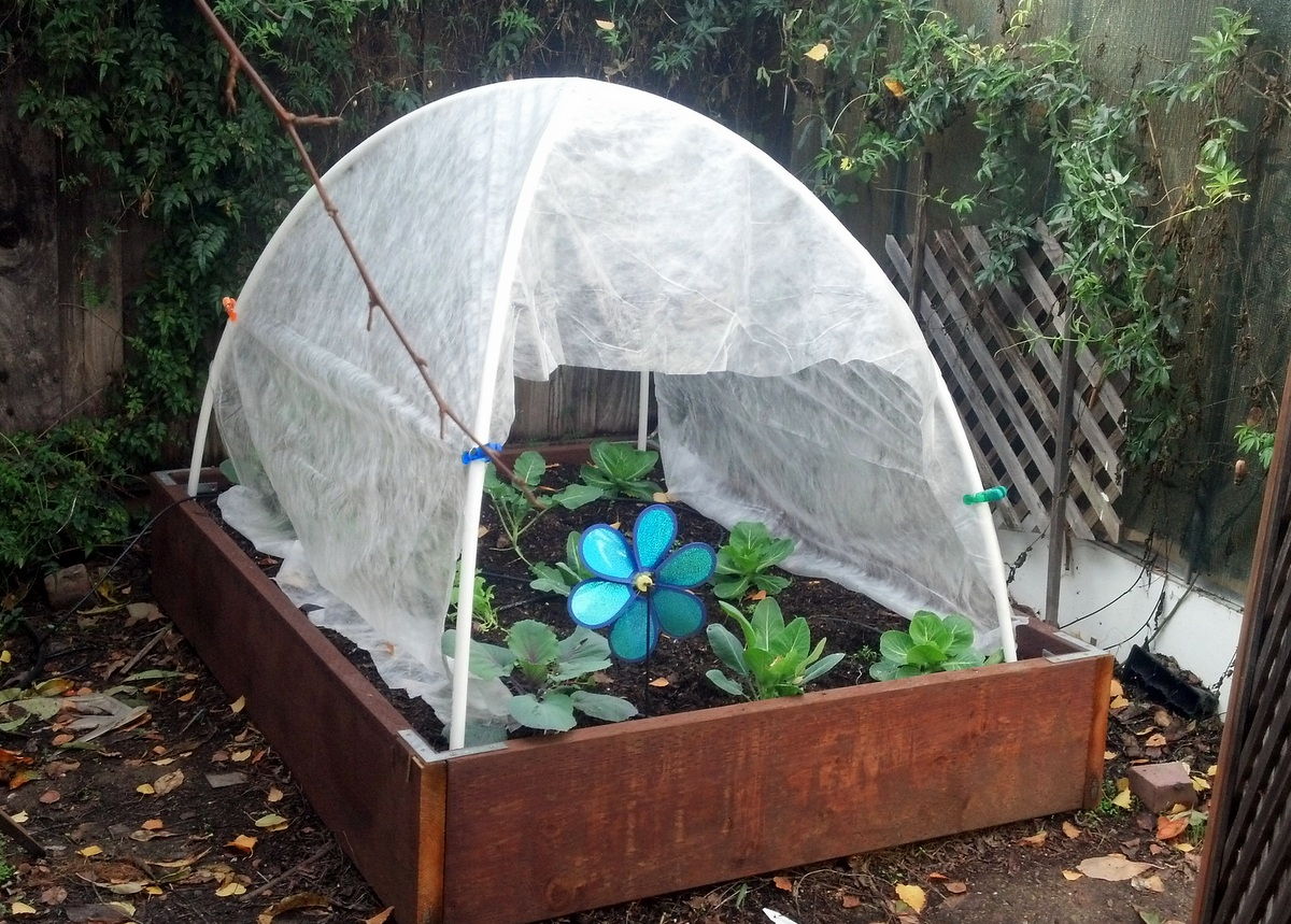 How to Make a Super Cheap Hoop-House for Winter