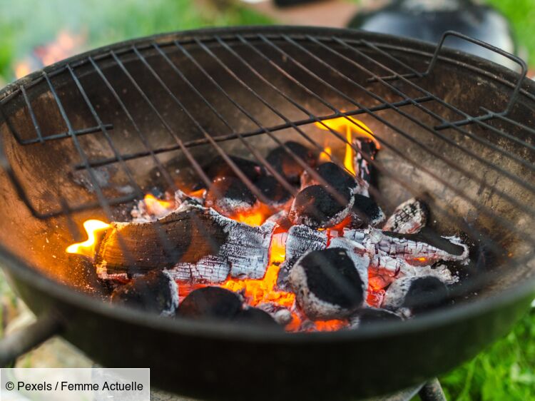 7 branches efficaces pour nettoyer la grille du barbecue : Femme Actuelle Le MAG