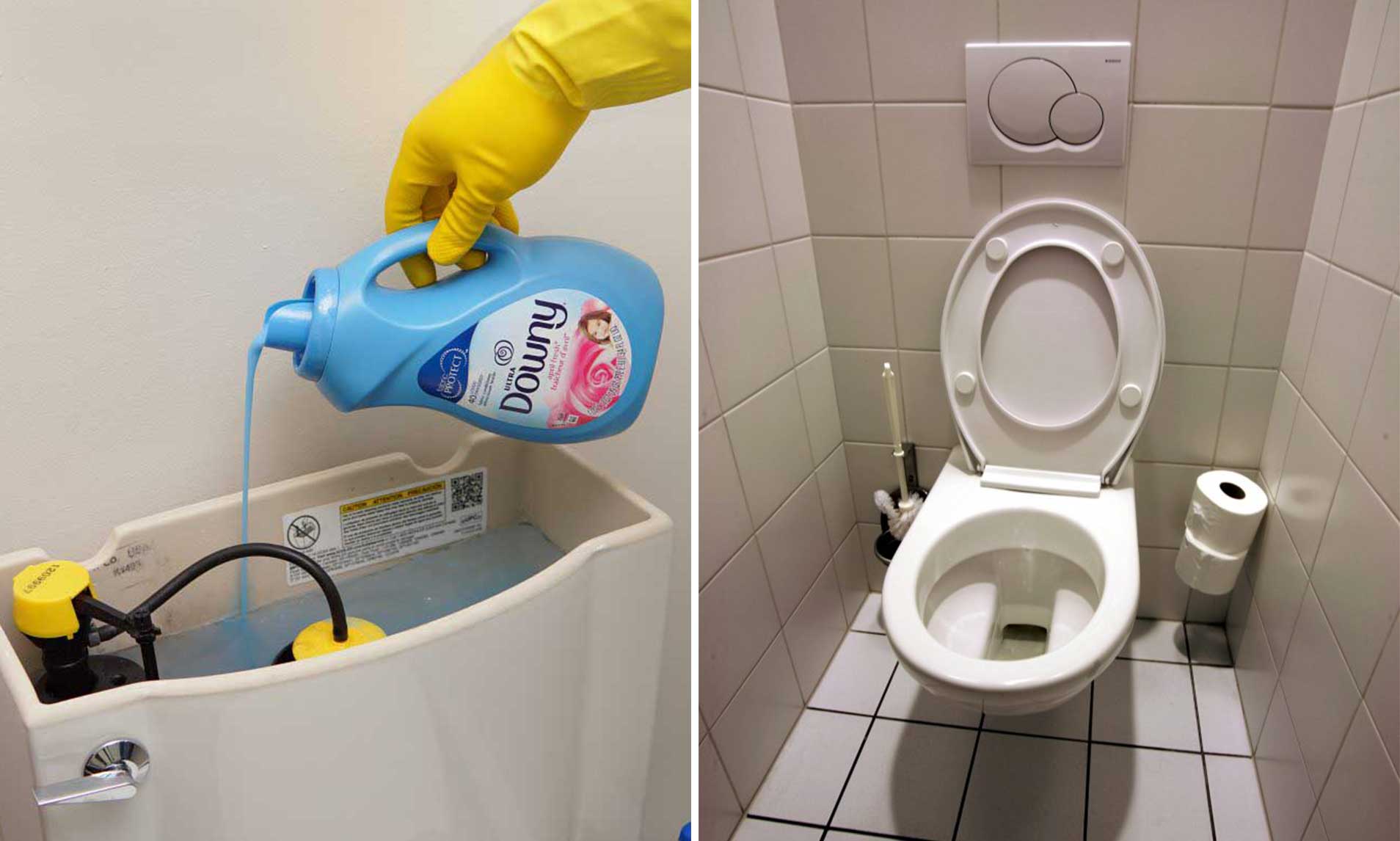 Warum Weichspüler in den Toilettenspülkasten füllen? Haustipps