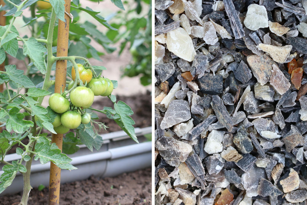 Hornspäne als Tomatendünger verwenden