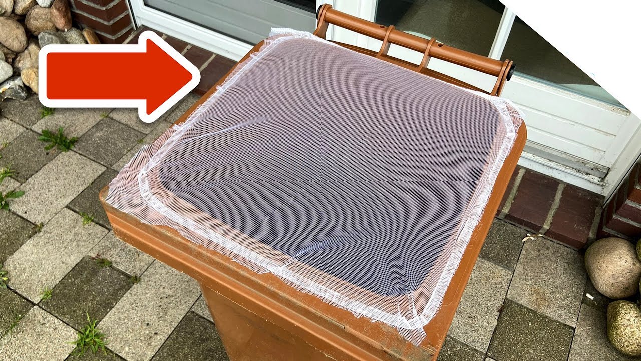 Verwende ein Fliegengitter über deiner Mülltonne, um Maden zu vermeiden Haustipps
