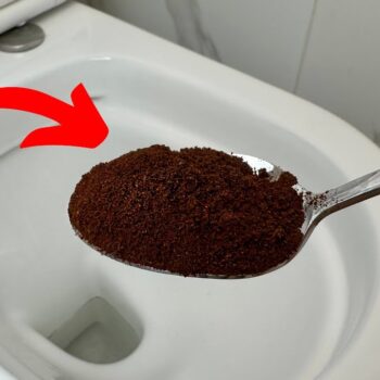 Werft den Kaffeesatz nicht weg! Der natürliche Trick für saubere Toiletten ohne schlechte Gerüche.