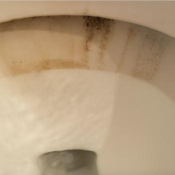 WC-Flecken wie ein Profi entfernen – Die effektivste Methode mit Essig