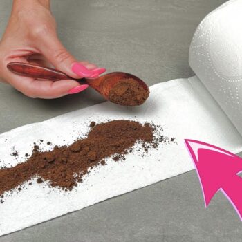 Toilettenpapier mit Zimt bestäuben? Dieser einfache Trick sorgt für einen natürlichen Duft im Bad