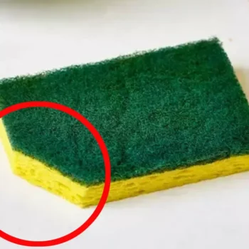 Der geniale Eck-Trick für Küchenschwämme: So bleiben sie hygienisch sauber und sicher! 🧼🔪