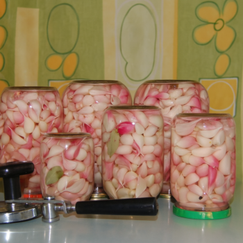 🧄 Knoblauch haltbar machen: Einfach einlegen, frisch genießen und sicher aufbewahren