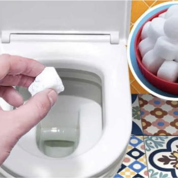 Meine Toilette duftet immer frisch und bleibt hygienisch sauber: Das Geheimnis eines natürlichen WC-Reinigers! ✨🚽
