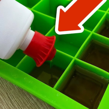 🧊 Einfrieren statt schrubben: Der geniale Küchen-Hack, den jetzt alle nutzen!