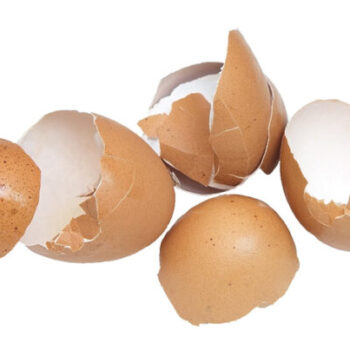 🥚 5 Geniale Anwendungen für Eierschalen – Wirf sie nie wieder weg!