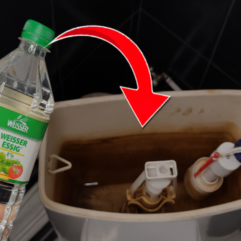 🚽✨ Toilettenspülkasten gründlich reinigen – mit Essig einfach & umweltfreundlich