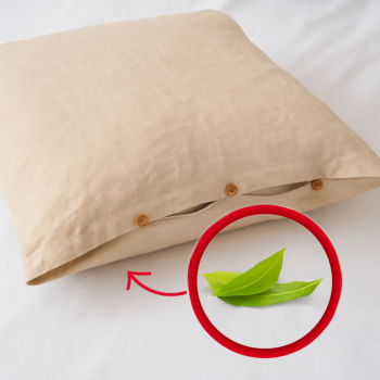 Der ultimative Trick für erholsamen Schlaf: Lege 2 Lorbeerblätter unter dein Kissen! 🌿😴