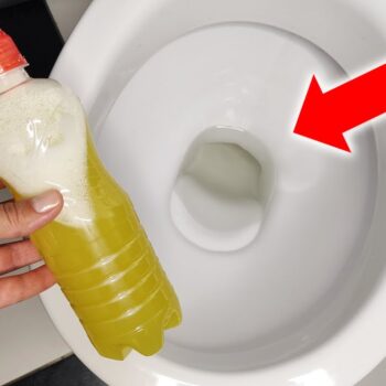 🍋 DIY-Reiniger: So machen Sie aus Zitronenschalen einen Kalk-Killer ohne Chemie! ✨