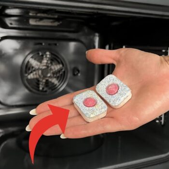 Backofen reinigen mit Spülmaschinentabs: Der geniale Trick, der eingebranntes Fett in Minuten löst! ✨🔥