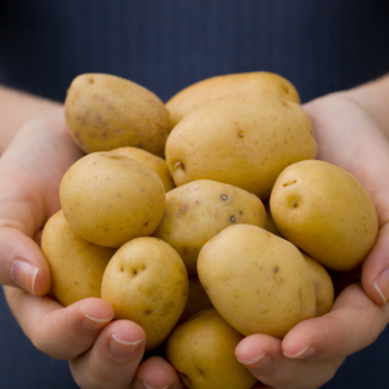🥔 Kartoffeln im Winter anbauen – so klappt die Ernte auch in der kalten Jahreszeit 🌱
