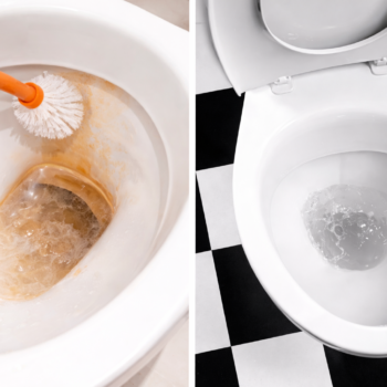 🚽 Hartnäckigen WC-Kalk natürlich entfernen – sichere Methoden, die wirklich wirken