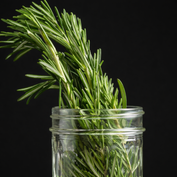 🌿 Meine Großmutter bewahrte Rosmarin immer im Glas auf – warum dieser einfache Trick so nützlich ist