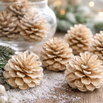 ✨ Winter-Deko DIY: So verwandelst du Tannenzapfen in elegante Schneeschönheiten ❄️