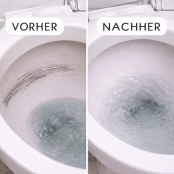 🚽 Metallkratzer in der Toilette? So entfernst du sie natürlich & ohne Chemie! ✨