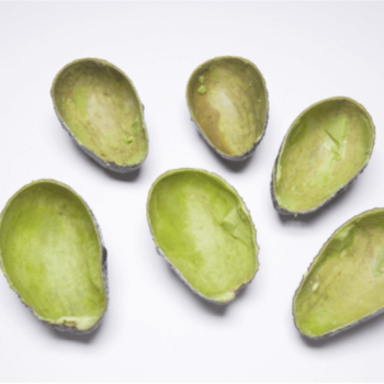 Avocadoschalen nicht mehr wegwerfen: Diese Anwendungen funktionieren wirklich