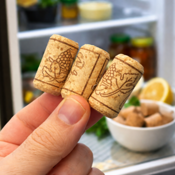 🧊 Dieser einfache Trick mit einem Korken verändert deinen Kühlschrank komplett 😳✨
