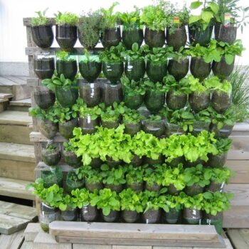 🌱 Plastikflaschen nicht wegwerfen! So bauen Sie einen vertikalen Gemüsegarten für Balkon, Terrasse und Garten
